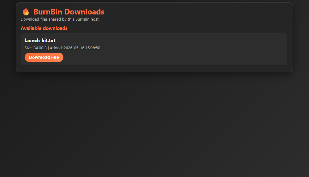 BurnBin public viewer page with downloads only